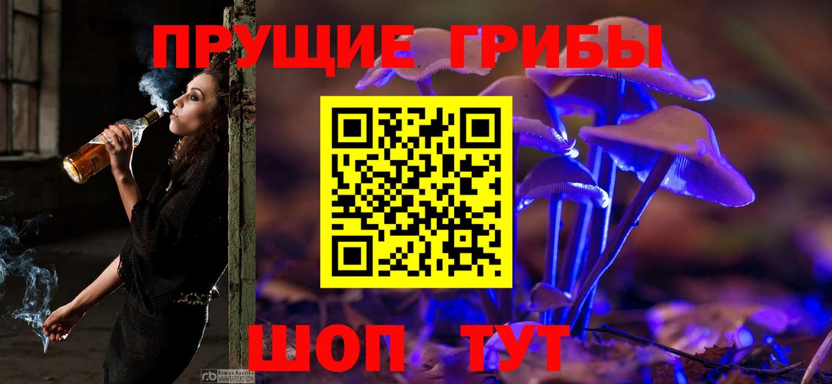 Усть-Илимск  Галлюциногенные грибы ЛСД  Вход с VPN  Псилоцибиновые грибы GOLDEN TEACHER 
